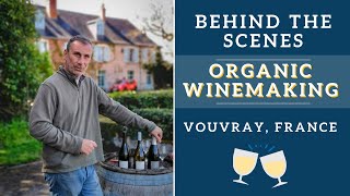 CAN AMERICANS MAKE GOOD FRENCH WINE  Day with an organic Vouvray wine maker [upl. by Marcos108]