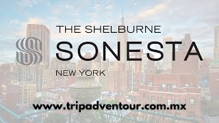 The Shelburne Sonesta New York Hotel Nueva York  TripAdventour [upl. by Ellehsem609]