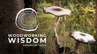 How to Power Carve A Toadstool  Woodworking Wisdom [upl. by Feil]