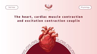 Physiology  The heart cardiac muscle contraction and excitation contraction coupling [upl. by Herod]