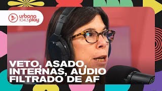 Interna del radicalismo repercusión del asado audio de Alberto sobre el cine nacional DeAcáEnMás [upl. by Cayser]