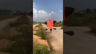 Thả diều sáo đại trà cõng giàn sáo gì đây các bạn vietnamkite kite xuhuong youtubeshorts [upl. by Ardnosac]