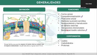 MEMBRANA PLASMATICAREPASO DE LA AYUDANTIA [upl. by Jari]