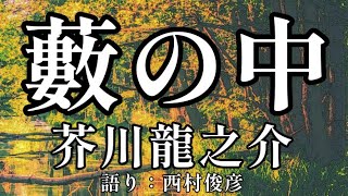 【朗読】芥川龍之介『藪の中』語り：西村俊彦 [upl. by Solim334]