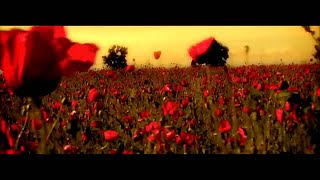 Sisu  Din Toate Florile  Official Video [upl. by Nonnelg]