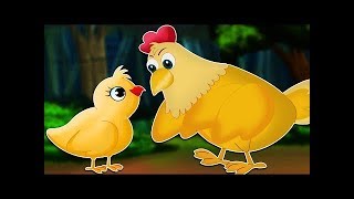 El cuento del pollito  Cuentos infantiles [upl. by Franzen30]