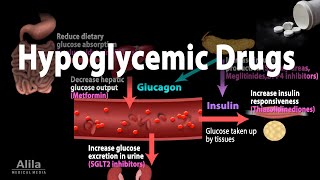 Pharmacology Oral Hypoglycemic Drugs Animation [upl. by Lancelle777]