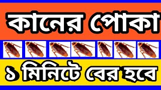 kaner poka ber korar upay । কানে পোকা গেলে করণীয় কি । [upl. by Eatnad]