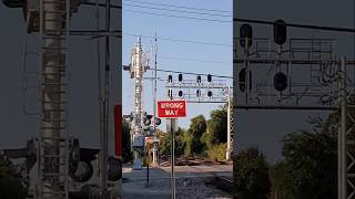 Ever seen this before CSX Signal light malfunctions and plays Red light Green light [upl. by Elsa]