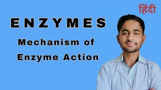 Enzyme  Mechanism of enzyme action  Biochemistry [upl. by Rutan771]