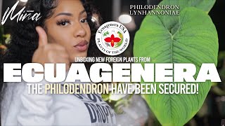 ECUAGENERA USA PLANT UNBOXING • WISHLIST PHILODENDRON [upl. by Akimed]