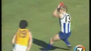 Hawthorn Highlights  1976 Grand Final [upl. by Mullac920]