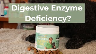 Does Your Dog Have a Digestive Enzyme Deficiency [upl. by Anai902]