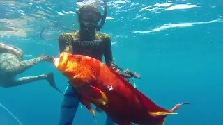 Spearfishing Australia  Getting Sandy [upl. by Marc]