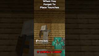 POV Forgetting to place torches… minecraft minecraftshorts minecraftmemes repost [upl. by Rae]