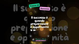 Tracce di Successo 🌟 46 [upl. by Littman277]