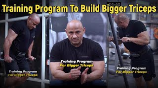 Training Program To Build Bigger Triceps  Triceps Workout  Mukesh Gahlot youtubevideo [upl. by Ruffin]