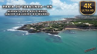 PRAIA DE TABATINGA MAIOR CAJUEIRO DO MUNDO  PRAIA DE PIRANGI  by Drone083 [upl. by Nnaesor]