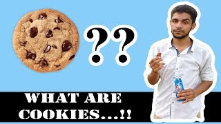 What are Web Cookies amp their types   Explained in detail  UrduHindi [upl. by Lynnette583]