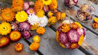 How to Grow Strawflowers amp Make Bauble Decorations  Homegrown Garden [upl. by Akienahs707]