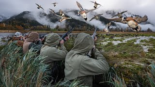 SHEETWATER WIGEON IN A DOWNPOUR 60 BIRDS [upl. by Gussi]