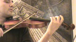 Old STAINER stamped violin  515 [upl. by Ellon]