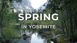 Discover Yosemite in the Spring [upl. by Anihsat909]