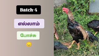 Batch 4 எல்லாம் போச்சு [upl. by Laurianne]