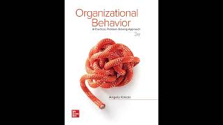 Organizational Behavior A Practical ProblemSolving Approach [upl. by Four]