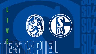 TESTSPIEL RELIVE  SSVg Velbert vs FC Schalke 04 [upl. by Ynnavoig577]