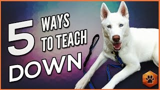 How to Teach a Dog to Lie Down  5 Alternate Methods for All Dogs [upl. by Flora891]