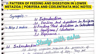 Lower metazoapattern of feeding and digestion in porifera and coelentrata notes amp explanation MSC [upl. by Egidius861]