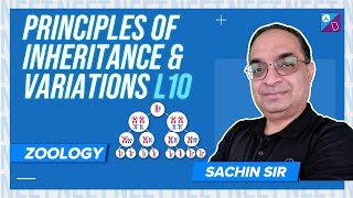 Chromosomal Theory of Inheritance  Principles of Inheritance amp Variation Class 12 Biology Concept [upl. by Ayalahs]