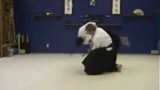 Collection of Nihon Goshin Aikido Techniques [upl. by Wilow]