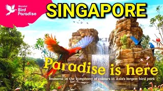 Singapore Bird Paradise  Mandai Bird Park [upl. by Arataj]