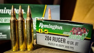 204 Ruger  40gr Remington Premier AccutipV 204 Ruger [upl. by Rysler]