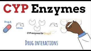 CYP450 Enzymes Drug Interactions MADE EASY in 5 MINS [upl. by Pitt736]