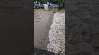 TriestingWehr in Münchendorf am 16092024 triesting hochwasser flood spillway overflow [upl. by Risay]