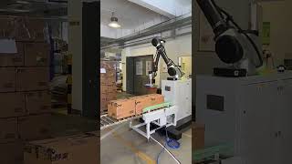 robot palletizer loading and unloading  automobile  BD [upl. by Sheldon]