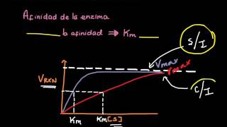 EXPLICACIÓN EJERCICIO CINÉTICA ENZIMÁTICA [upl. by Yneffit]