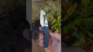 Kizer Towser S Richlite edc knifelife tools trending shorts foldingknife [upl. by Lissi]