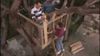 How to Build an Outdoor Tree House or Tree Fort Housewmv [upl. by Adamok]