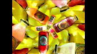 Fruitopia Commercial 1995 HD 60FPS [upl. by Annaohj]