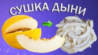 Сушеная дыня в сушилке для фруктов [upl. by Lala]