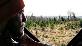 Northern Ontario Deer Hunting RockRib OutDoors [upl. by Celie819]