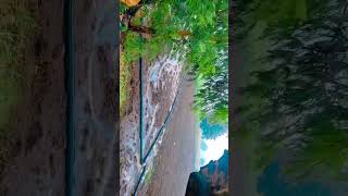 Rainfall love farmers lover trending video [upl. by Noevad]