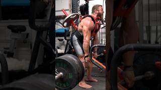 STEGOSAURUS DEADLIFTS shorts workout deadlift [upl. by Eigroeg]