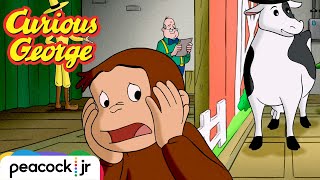 Georges Backstage Bonanza  CURIOUS GEORGE [upl. by Paff]