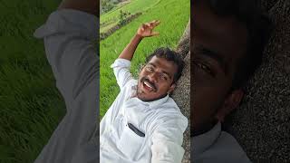 tamiltrending villagelife villagevlog vllogger [upl. by Elleniad]