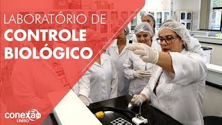 Laboratório de Controle Biológico [upl. by Frick]